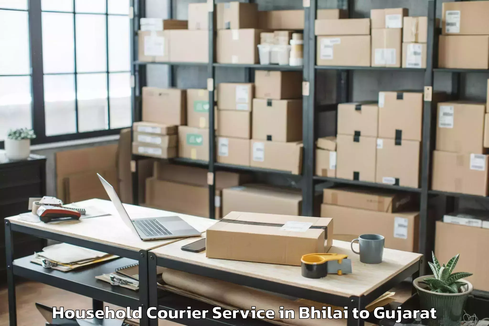 Professional Bhilai to Vadgam Household Courier